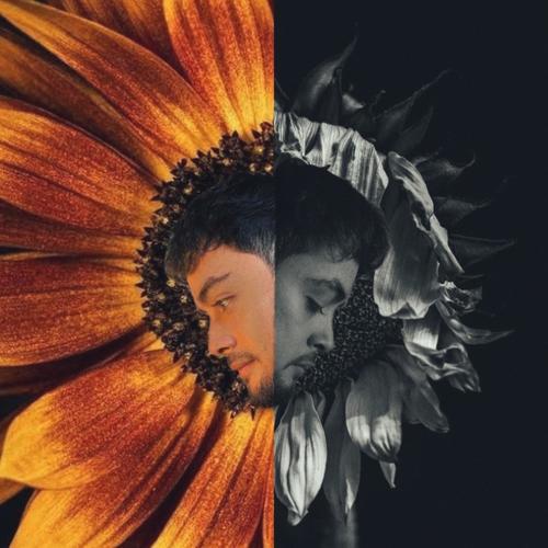 GIRASOL