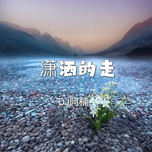 潇洒的走