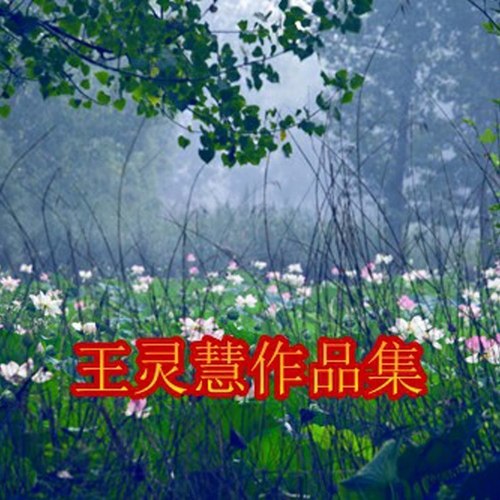 王灵慧作品－遇见牟平