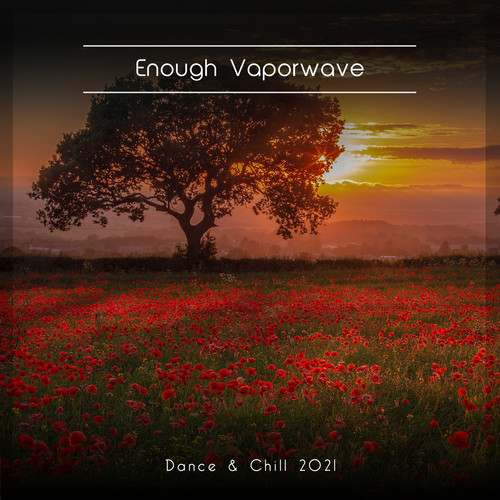 Enough Vaporwave Dance & Chill 2021