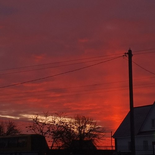 Был я дурак