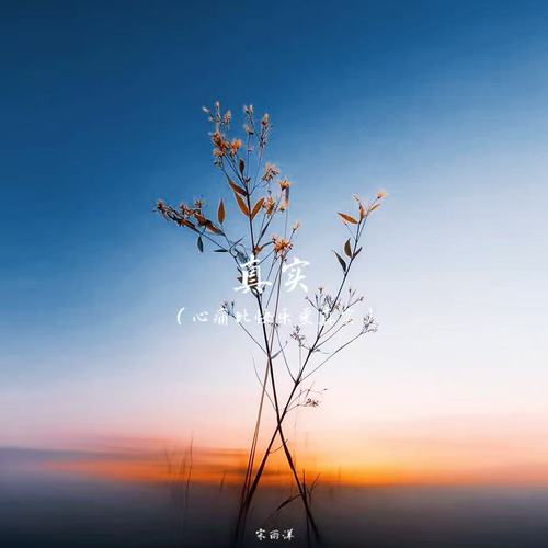 真实（心痛比快乐更真实）