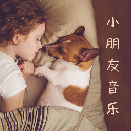 小朋友音乐：动物疗法，宝宝和小宠物一起休息，适合宝宝和小狗的睡眠用音乐，轻音乐
