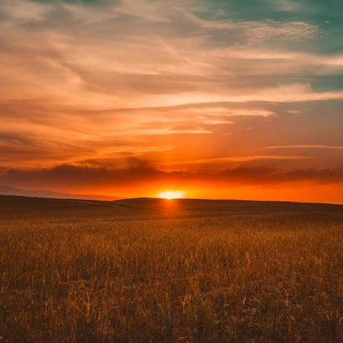 The Black Lagoon (Explicit)