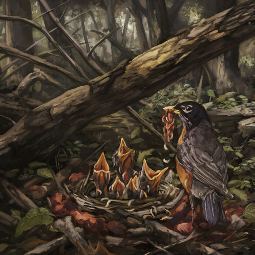 Step Into The Light (Explicit)