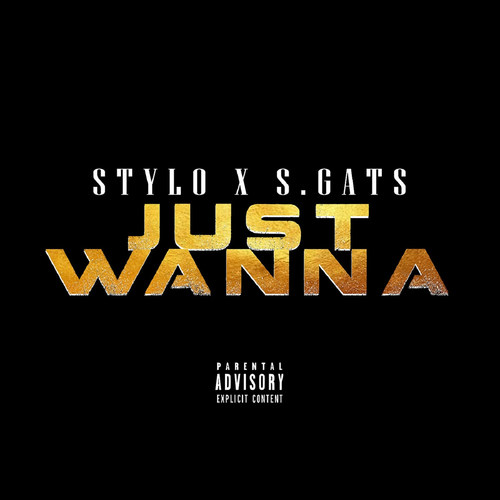 Just Wanna (Explicit)