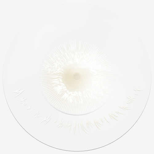 Fungjai Crossplay 3 Pong (Slur Cover)