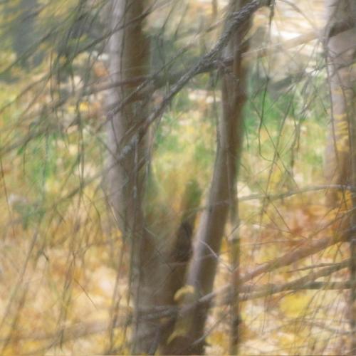 LEAVEMEALONE (Explicit)