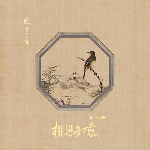 相思如意（DJ光年版）