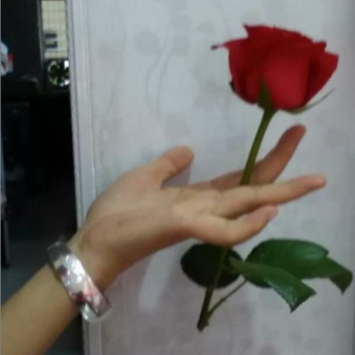 情为何物（流行）