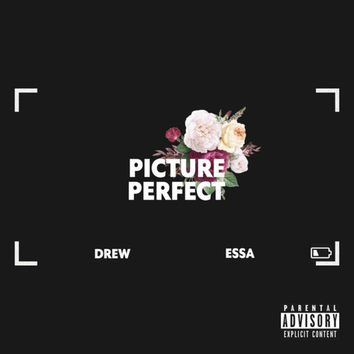Picture Perfect (Explicit)