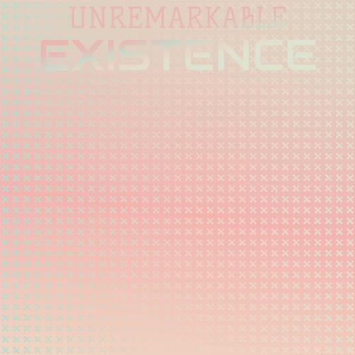 Unremarkable Existence