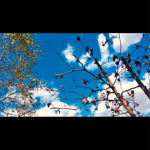 同你一起的四季