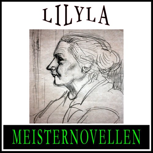 Meisternovellen 13