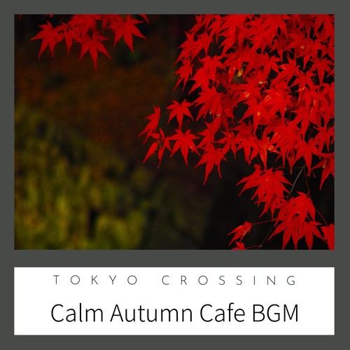 Calm Autumn Cafe Bgm