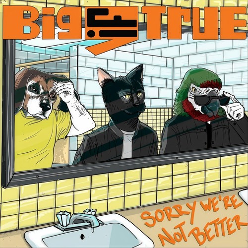 Sorry We're Not Better (Explicit)