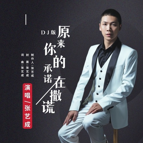 原来你的承诺在撒谎(DJ男版)