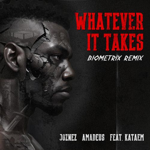 Whatever it Takes (feat. Kataem) [Biometrix Remix]