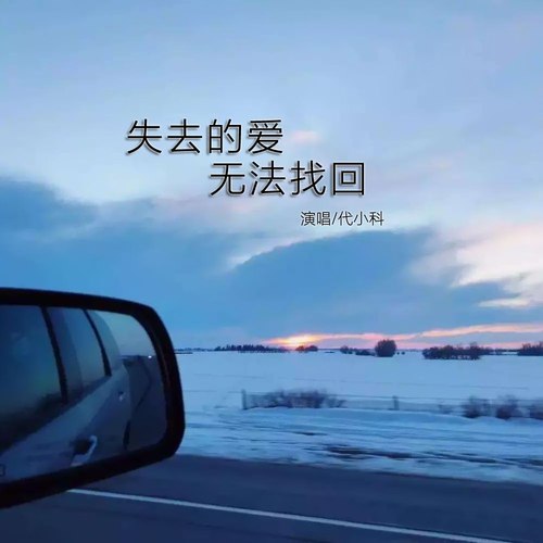 失去的爱无法找回（男版）