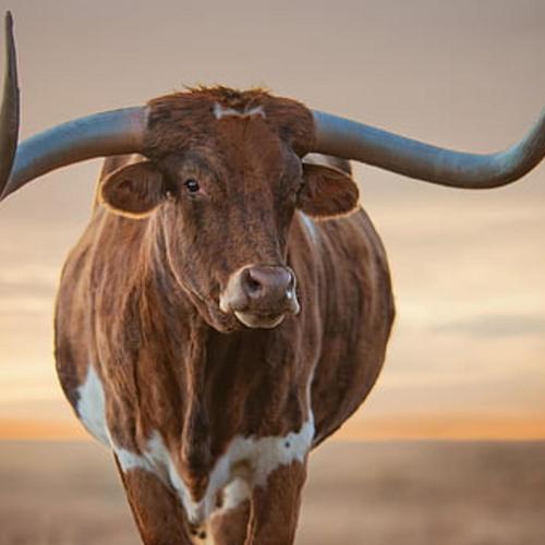 2 de l'eau (officiel) (feat. DJ Moise OFFICIAL & Jsuis en direct)