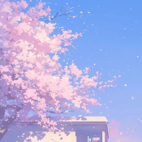 樱花最美的是飘落