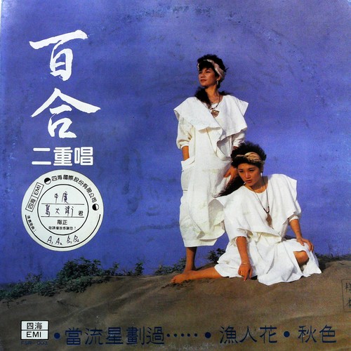 当流星划过......（黑胶版）