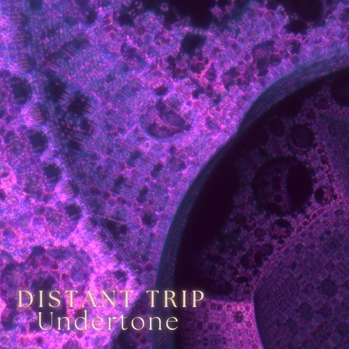 Distant Trip (feat. Undertone [EST])