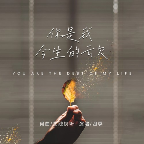 你是我今生的亏欠