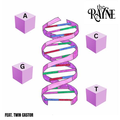 The A The C The G The T