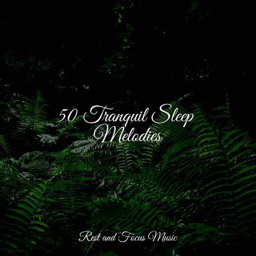 50 Tranquil Sleep Melodies