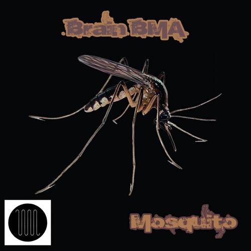 Mosquito