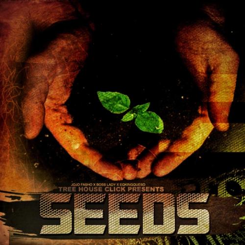 SEEDS (Explicit)