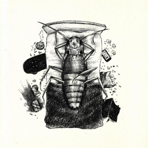 Existential Ipis (Explicit)