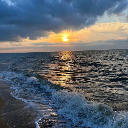 精卫（万物终归向海）