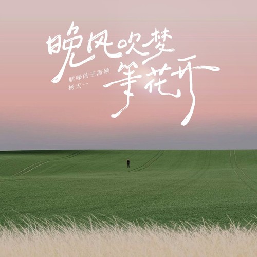 晚风吹梦等花开
