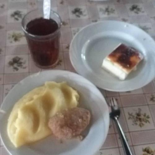 nervové vlákna - (2022 demo)