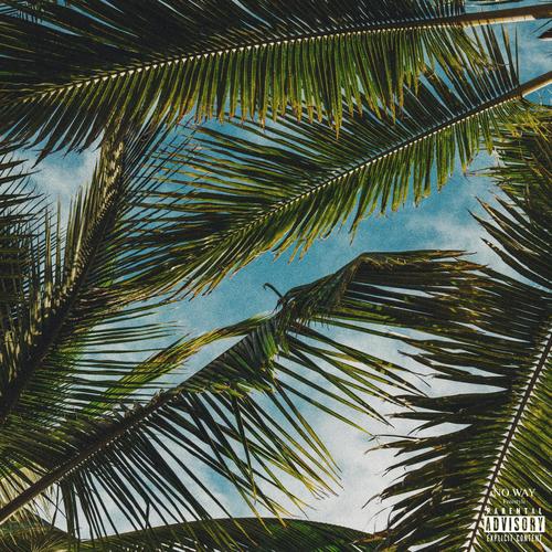 No Way (feat. Don Flare & Hurri Harán) [Explicit]