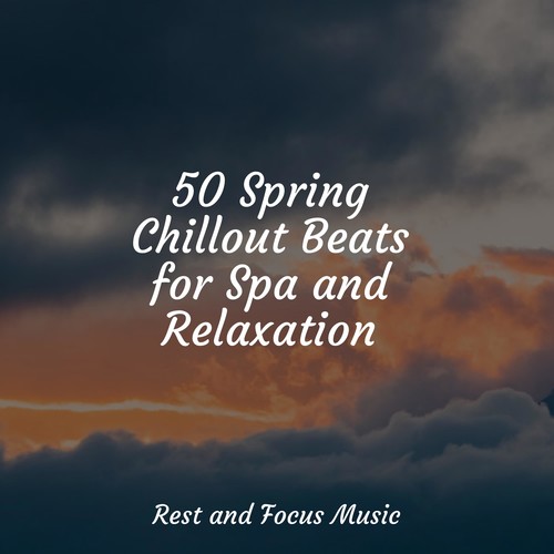 50 Spring Chillout Beats for Spa and Relaxation