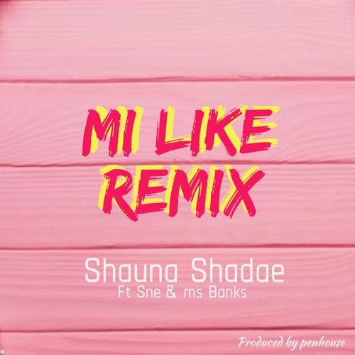 Mi Like (feat. Sne & Ms Banks) [Explicit]