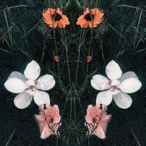 The blissful & forsaken (Explicit)