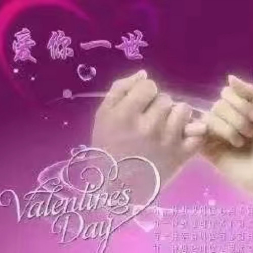 真心爱情无怨悔