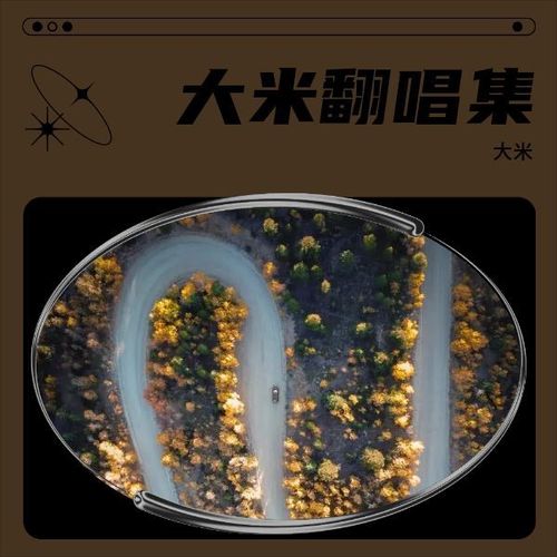 大米翻唱集
