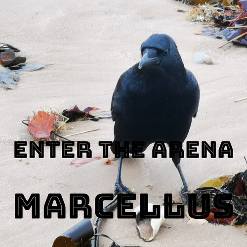 Enter The Arena