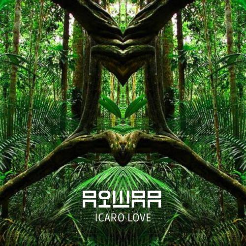 Icaro Love