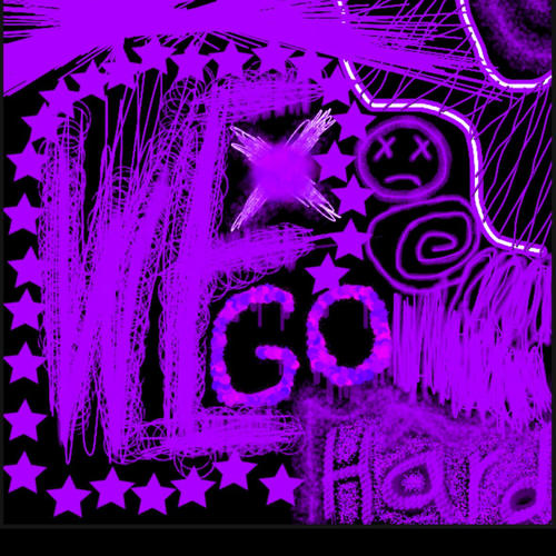 WE GO HARD! (Explicit)