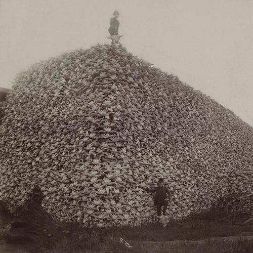 IL MONDO È NOSTRO (Explicit)