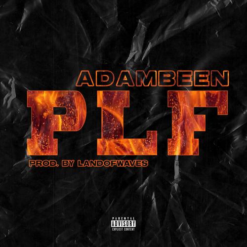 P.L.F (Explicit)