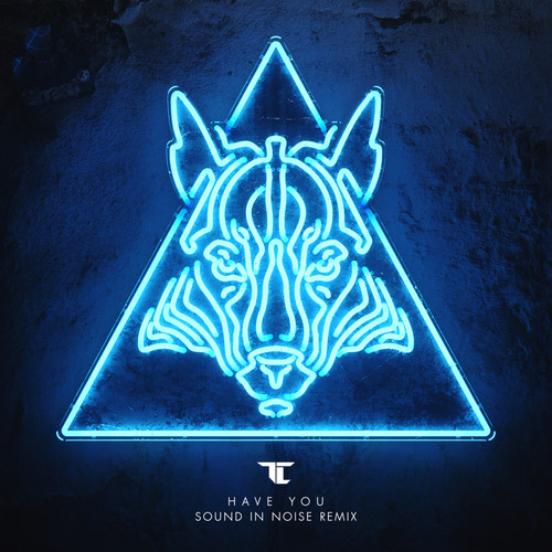 Have You (Sound in Noise Remix)