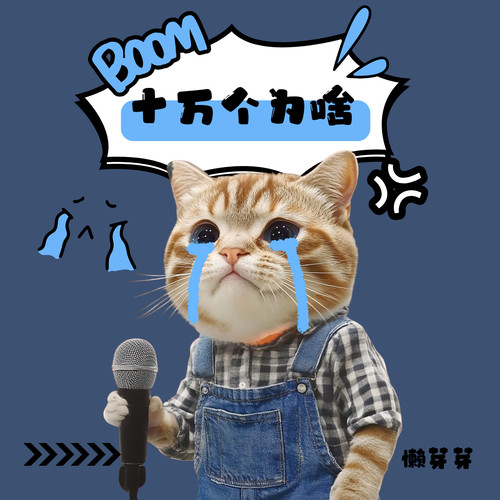 十万个为啥