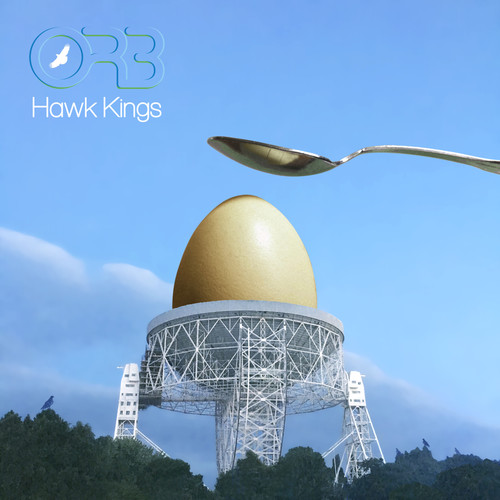 Hawk Kings - Oseberg Buddhas Buttonhole (Spotify only - Waterfalling product)